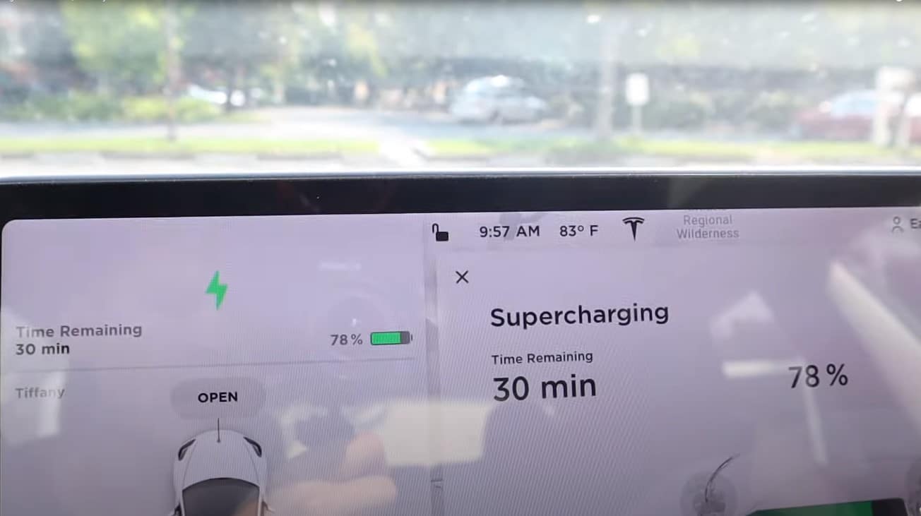 why do tesla owners tap