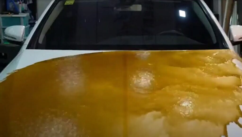 8 Best Car Wax for White Cars: Expert’s Choice in 2025